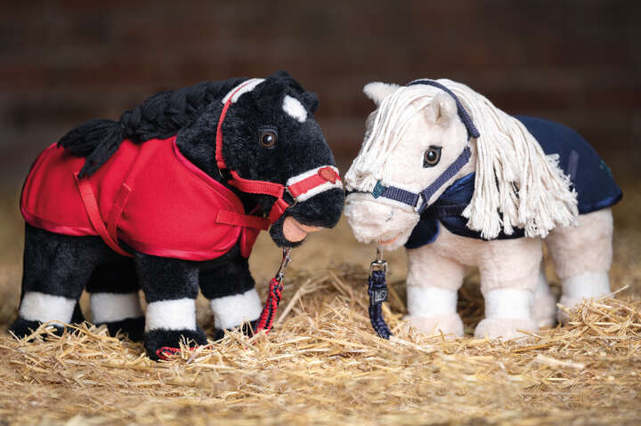 HKM KIDS Starterset Cuddle Pony